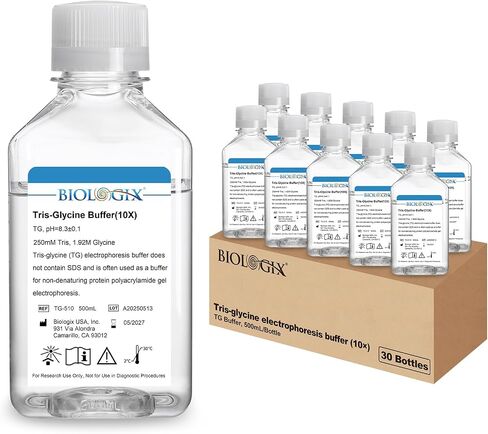 TG electrophoresis Buffer (10x) ، Tris-glycine Transfer Buffer للبقع الغربية والمواد الهلامية الأصلية ، الرقم الهيدروجيني 8.3 ، 500 مل/زجاجة ، زجاجة واحدة in Kuwait