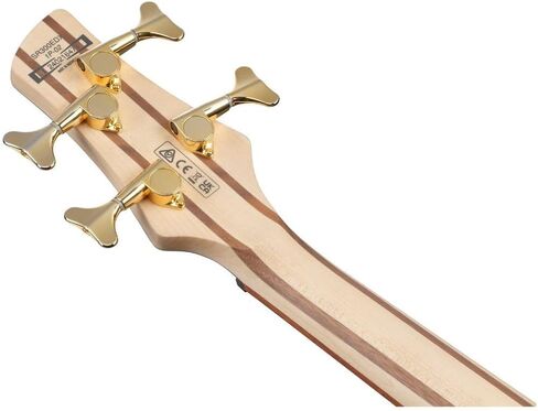 Ibanez SR300EDX القياسية الغيتار الكهربائية اليمنى 4-سلسلة مع Jatoba Fretboard ، جسم Nyatoh ، و PowerSpan Dual Coil Pickup (النبيذ الأحمر غير اللامع) in Saudi Arabia