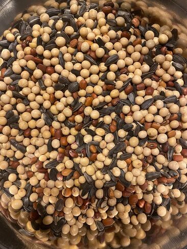 Summer Food Plot Seeds, 5 lbs (1/4 Acre) - Perfect Summer Mix, Soybeans, Sunflowers, Cow Peas, Buckwheat, High in Protein for Critical Summer Months, Attractive to Whitetail, Hunting in Saudi Arabia