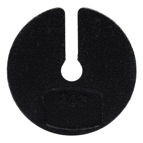 EISCO Slotted Weight, 20g - Zinc Casted - Spare or Extra Parts for Slotted Masses Sets in Saudi Arabia