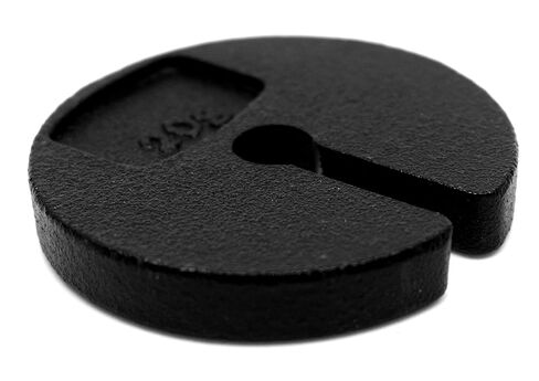 EISCO Slotted Weight, 20g - Zinc Casted - Spare or Extra Parts for Slotted Masses Sets in Saudi Arabia