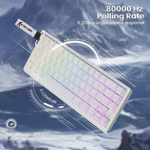 الهجوم Shark X68Pro هو لوحة مفاتيح الألعاب السريعة الزناد - معدل الاقتراع 8 كيلو هرتز ، نقاط التشغيل القابلة للتعديل ، مفاتيح مغناطيسية ، مفاتيح PBT ، الإضاءة الخلفية RGB ، كابل ملفوف للكمبيوتر/ماك - أسود كفاف in Kuwait