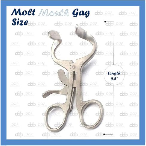 DDP Molt Mouth Gag Assethesia Instruments 5.5 "Silver in Saudi Arabia