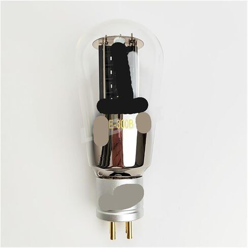 1/2/4/PCS E-300B أنبوب مضخم (1pcs) in Saudi Arabia