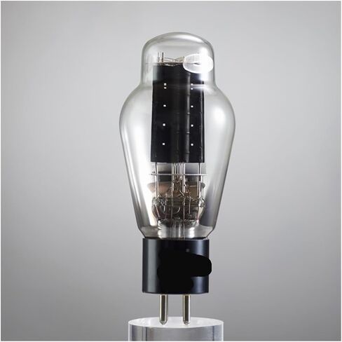 1/2/4pcs أنبوب فراغ we300a مضخم صوت صوتي (1pcs) in Saudi Arabia