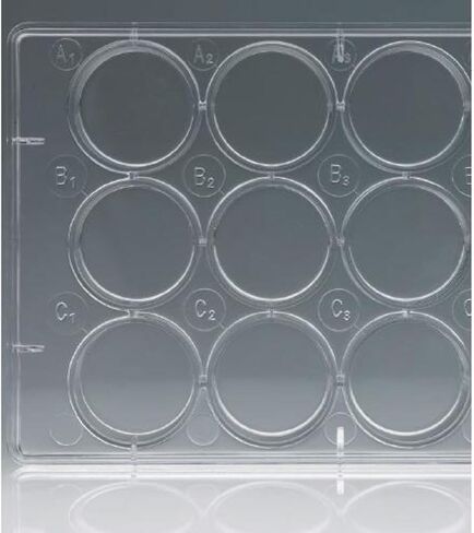 Celltreat Scientific 229103 4 Well Tissue Culture Plate with Lid, Sterile, Individual (Pack of 50) in Saudi Arabia