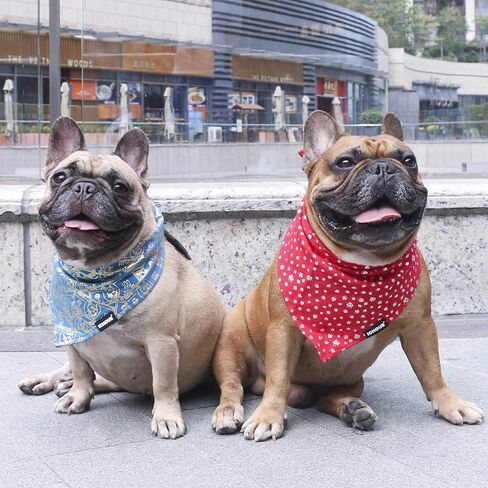 iChoue Original Print French Bulldog Bandanas Washable Bibs Adjustable Triangle Scarfs for Frenchie Pug English Boston Terrier Dogs, Green Grid, Small in Saudi Arabia