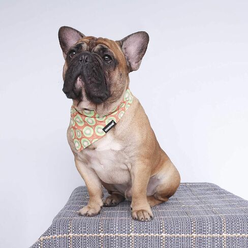 iChoue Original Print French Bulldog Bandanas Washable Bibs Adjustable Triangle Scarfs for Frenchie Pug English Boston Terrier Dogs, Green Grid, Small in Saudi Arabia