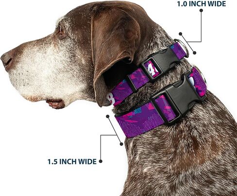 Hendrick Motorsports Pet Collar, Dog Collar Plastic Buckle, Alex Bowman #48 Car Scheme Purples Pinks White, 11 to 16.5 Inches 1.0 Inch Wide in Saudi Arabia