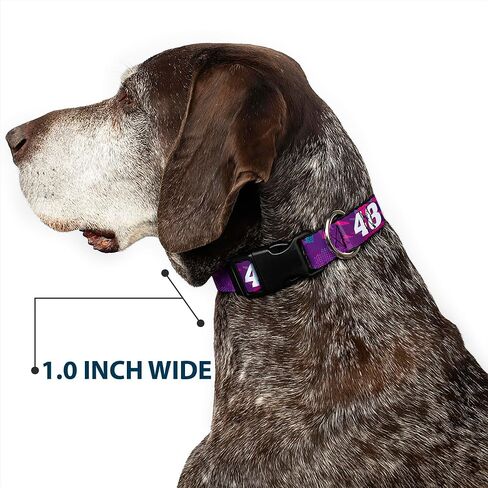Hendrick Motorsports Pet Collar, Dog Collar Plastic Buckle, Alex Bowman #48 Car Scheme Purples Pinks White, 11 to 16.5 Inches 1.0 Inch Wide in Saudi Arabia