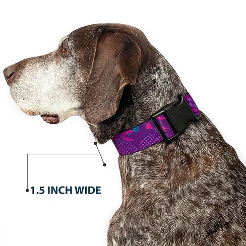 Hendrick Motorsports Pet Collar, Dog Collar Plastic Buckle, Alex Bowman #48 Car Scheme Purples Pinks White, 11 to 16.5 Inches 1.0 Inch Wide in Saudi Arabia