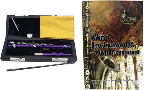 C Key Piccolo Lightweight Easy to Play Woodwind Instrument 16 Hole Flute for Stage Performance Practice Classroom Beginner, Silver in Saudi Arabia