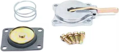 30cc Silver Accelerator Pump Housing, Diaphram, Spring & Screws Kit Fits: Ho lley in Saudi Arabia
