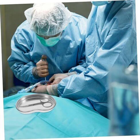Dental Tray Stainless Steel Curved Instrument for Tooth Extraction Reusable Medical Tool High Temperature Resistant Easy to Clean for Dentists and Clinics in Saudi Arabia