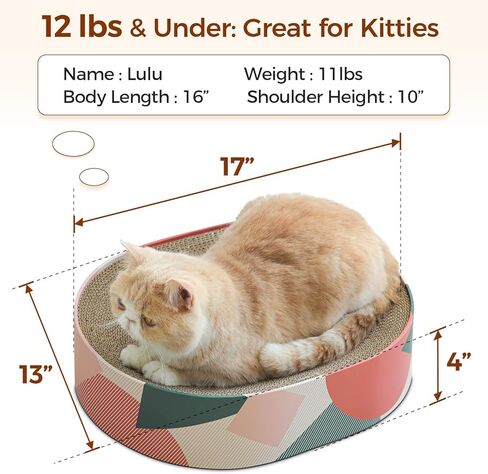 3 Pcs Cat Scratching Board with Box, 2 in 1 Cardboard Cat Scratchers Bed for Indoor Cats, Round Scratch Bowl with Thicker Double-Sided Pad for Cats' Scratch Need in Kuwait
