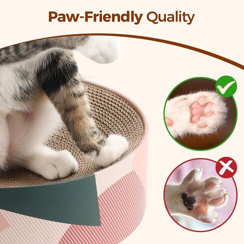 3 Pcs Cat Scratching Board with Box, 2 in 1 Cardboard Cat Scratchers Bed for Indoor Cats, Round Scratch Bowl with Thicker Double-Sided Pad for Cats' Scratch Need in Kuwait