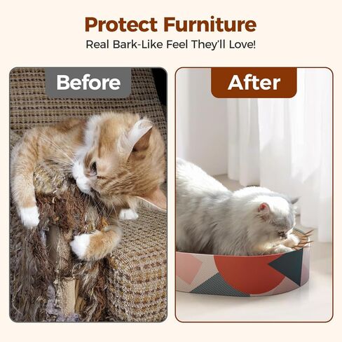 3 Pcs Cat Scratching Board with Box, 2 in 1 Cardboard Cat Scratchers Bed for Indoor Cats, Round Scratch Bowl with Thicker Double-Sided Pad for Cats' Scratch Need in Kuwait