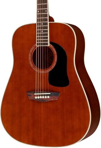 Washburn WD100DLMK المتدرب الغيتار الصوتية ، لمعان طبيعي in Kuwait