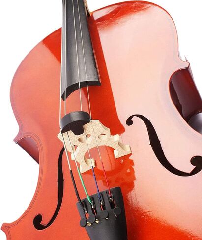Double Bass Mute Silencer Sound Damper Black in Saudi Arabia