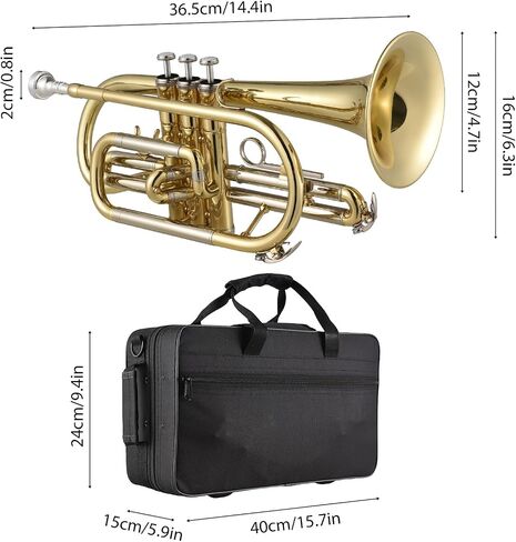 Huiop BB Cornet Brass Surface Surface Paint Gold Professional Brass Profer in Saudi Arabia