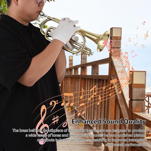 Huiop BB Cornet Brass Surface Surface Paint Gold Professional Brass Profer in Saudi Arabia