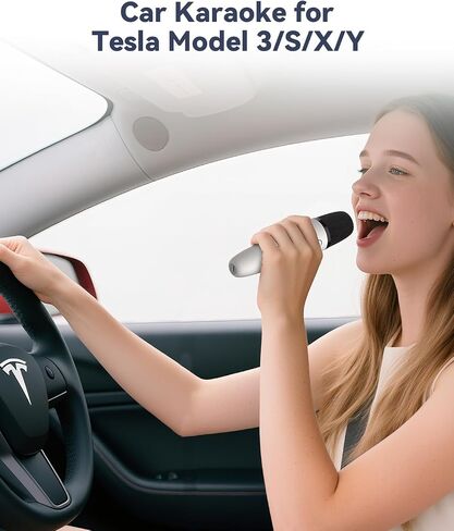 LvDonic Karaoke Microphone for Tesla Model Y/3/S/X, Car Karaoke Microphone with USB A Receiver for Tesla, Wireless Singing Mic with USB C Dongle for Cars, 2 Mics in Saudi Arabia