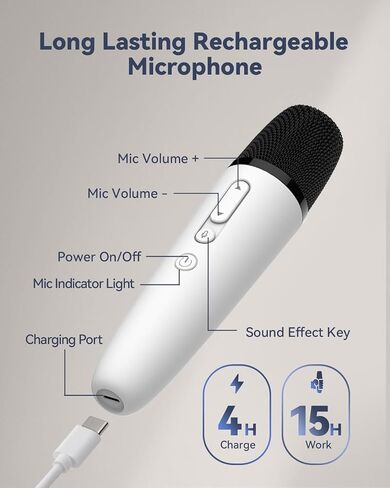 LvDonic Karaoke Microphone for Tesla Model Y/3/S/X, Car Karaoke Microphone with USB A Receiver for Tesla, Wireless Singing Mic with USB C Dongle for Cars, 2 Mics in Saudi Arabia