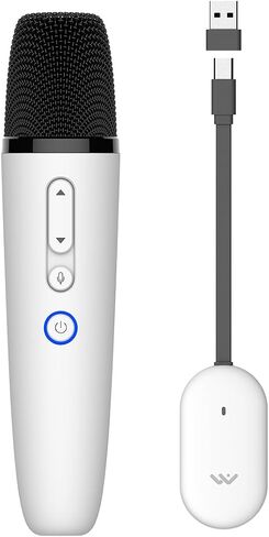 LvDonic Karaoke Microphone for Tesla Model Y/3/S/X, Car Karaoke Microphone with USB A Receiver for Tesla, Wireless Singing Mic with USB C Dongle for Cars, 2 Mics in Saudi Arabia