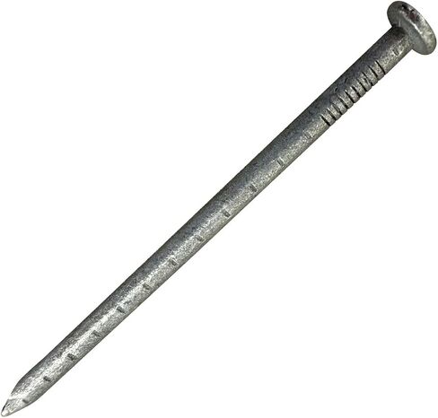 Sandbaggy 3" Joist Hanger Nails (appx. 55 nails/lb) - Barbed Shank, 9 Gauge Steel, 5/16" Diameter Round Head - 10d Nail (3, Pounds) in Saudi Arabia