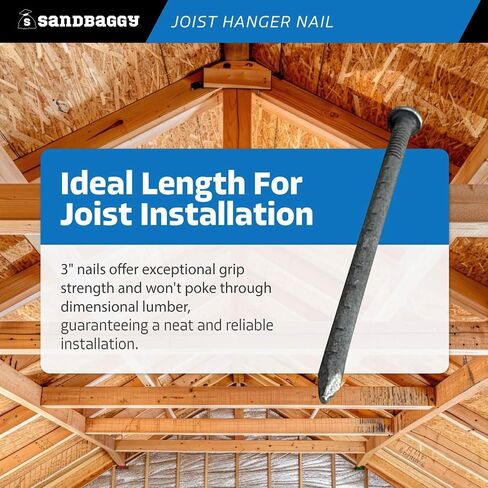 Sandbaggy 3" Joist Hanger Nails (appx. 55 nails/lb) - Barbed Shank, 9 Gauge Steel, 5/16" Diameter Round Head - 10d Nail (3, Pounds) in Saudi Arabia