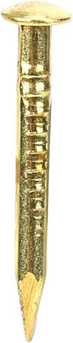 100Pcs Brass Nails, Rosette Pins Round Head Brass Brad Nail for Wood, for Hanging Picture Frame Mirrors Furniture Hinge Hardware Accessories (10mm Long) in Saudi Arabia
