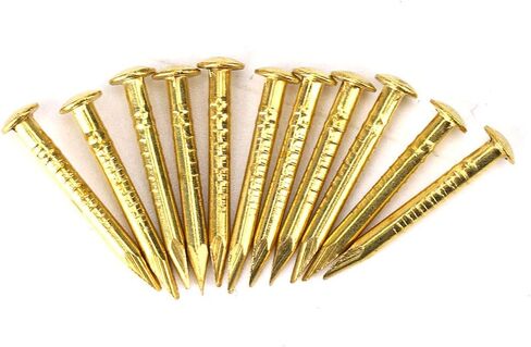100Pcs Brass Nails, Rosette Pins Round Head Brass Brad Nail for Wood, for Hanging Picture Frame Mirrors Furniture Hinge Hardware Accessories (10mm Long) in Saudi Arabia