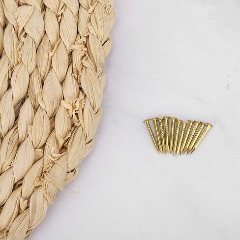 100Pcs Brass Nails, Rosette Pins Round Head Brass Brad Nail for Wood, for Hanging Picture Frame Mirrors Furniture Hinge Hardware Accessories (10mm Long) in Saudi Arabia