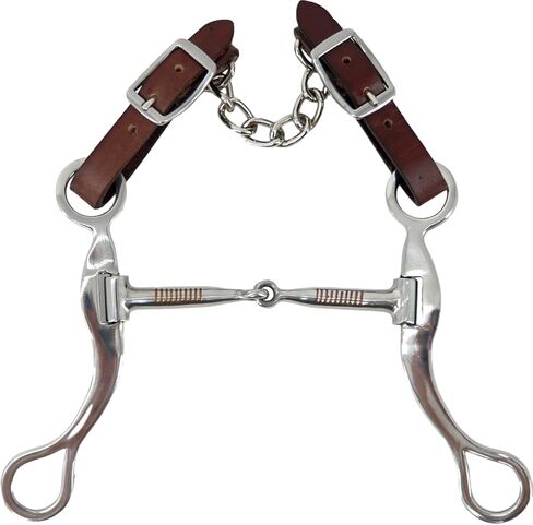 Jeereal Western 5" Mouth Stainless Steel Bit with Leather Single Flat Link Chain Curb Strap All Purpose Bit for Western Horses Tack in Saudi Arabia
