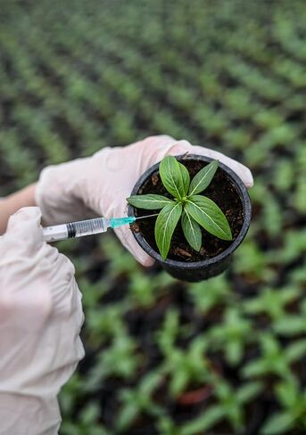 100 حزمة 1 مل 27G 0.5 بوصة Luer Lock Science Lab ، ومختومة بشكل فردي للمختبرات ، والقياس السائل ، والتوزيع in Kuwait