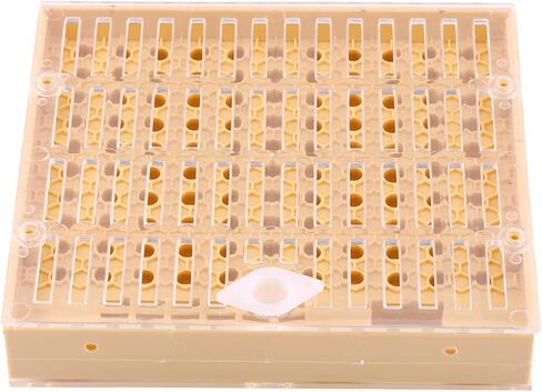 Beekee Rea Cups Box Cell Bar Blocks H Roller Cages Bee Keeper Equipment Includes Everything Beekeepers for 110 Cups 12 Rea Box The Components Set Can in Saudi Arabia