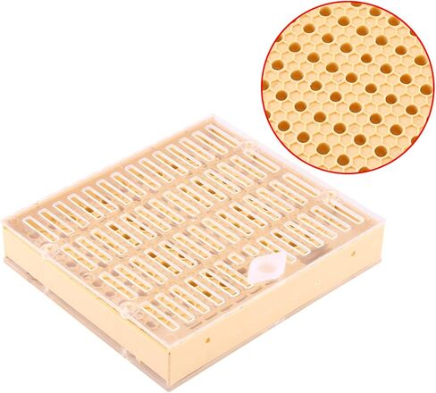 Beekee Rea Cups Box Cell Bar Blocks H Roller Cages Bee Keeper Equipment Includes Everything Beekeepers for 110 Cups 12 Rea Box The Components Set Can in Saudi Arabia