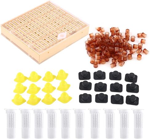 Beekee Rea Cups Box Cell Bar Blocks H Roller Cages Bee Keeper Equipment Includes Everything Beekeepers for 110 Cups 12 Rea Box The Components Set Can in Saudi Arabia