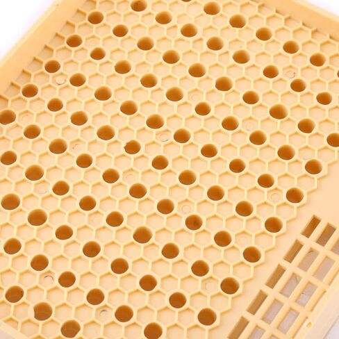 Beekee Rea Cups Box Cell Bar Blocks H Roller Cages Bee Keeper Equipment Includes Everything Beekeepers for 110 Cups 12 Rea Box The Components Set Can in Saudi Arabia