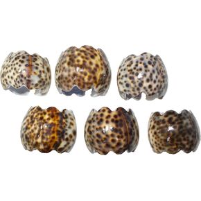 Tiger Cowrie Napkin Ring, Small