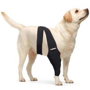 Dog Knee Brace for Torn Hind Leg or Back Leg, Adjustable Dog Leg Brace, Dog Support Brace for Cruciate Ligament Injury Joint Pain Muscle Soreness, Better Recovery Brace