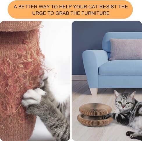 FluffyDream Magic Organ Cat Scratching Board, Interactive Scratch Pad with a Ball, Cat Scratcher for Grinding Claw, Recyclable and Durable, Furniture Protector, Retractable, Brown, Reversible in Saudi Arabia