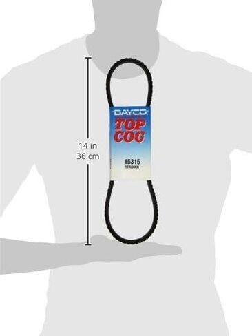 Dayco 15315 Fan Belt in Saudi Arabia