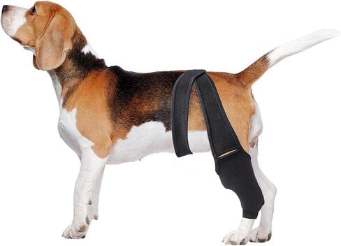 Dog Knee Brace for Torn Hind Leg or Back Leg, Adjustable Dog Leg Brace, Dog Support Brace for Cruciate Ligament Injury Joint Pain Muscle Soreness, Better Recovery Brace in Saudi Arabia