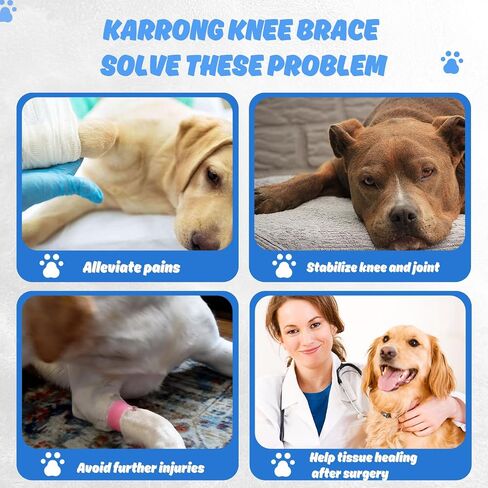 Dog Knee Brace for Torn Hind Leg or Back Leg, Adjustable Dog Leg Brace, Dog Support Brace for Cruciate Ligament Injury Joint Pain Muscle Soreness, Better Recovery Brace in Saudi Arabia
