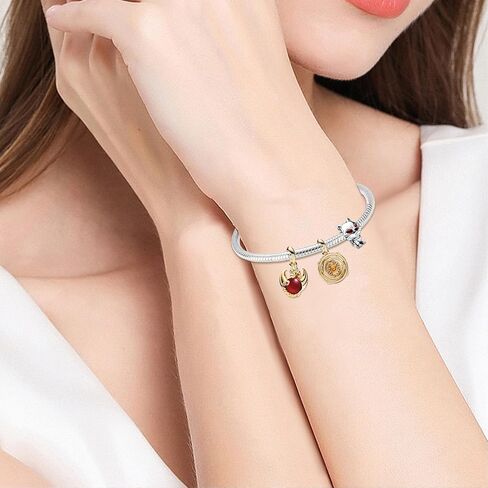 Charms Dragon Fire Astrolabe Direwolf Dangle Women Beads Pendants Bracelets Necklaces 925 Sterling Silver Charms Christmas Birthday Mother Day Jewelry Gift for Girls in Saudi Arabia