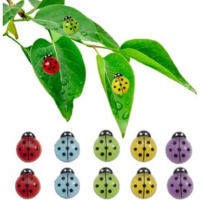 10pcs Ladybug Plant Magnets for Potted Plants ，Night Glow Effect Insect Funny Indoor Plant Accessories, Funny Indoor Outdoor Plants Accessories Unique Gifts for Plant Lovers in Saudi Arabia