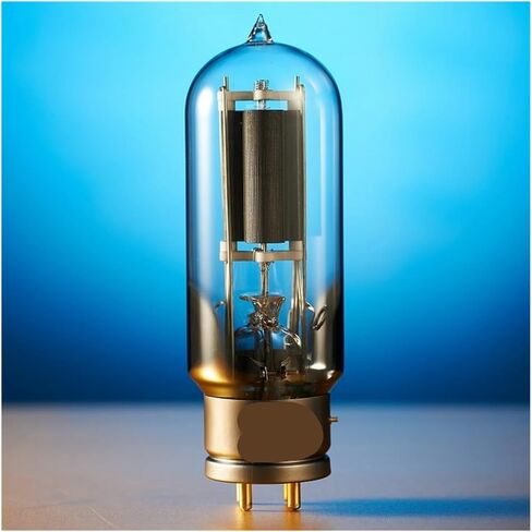 1/2/4PCS WE211 Audio Tube Amplifier(2PCS) in Kuwait