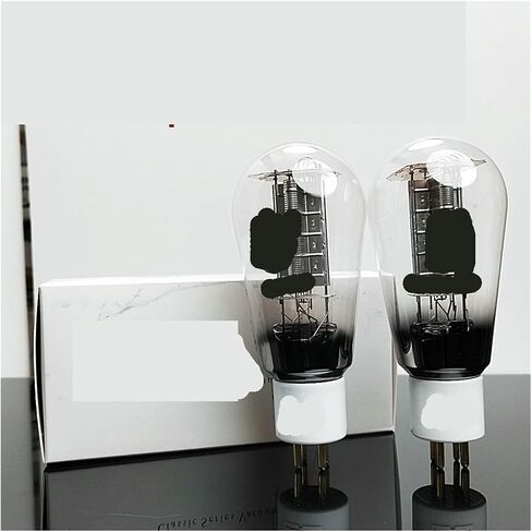 1/2/4PCS 300B-N Audio Tube Amplifier (1PCS) in Saudi Arabia