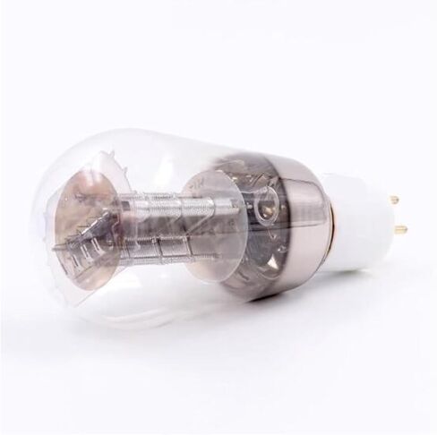 1PCS Electron Tube 2A3N Needle Vacuum Tube in Saudi Arabia